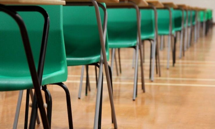 Si cercano docenti
