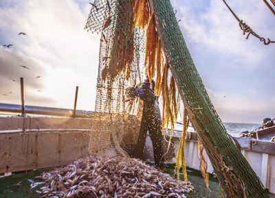 Adattamenti. Marine litter: superare le lacune normative verso l’obiettivo “zero plastica in mare”
