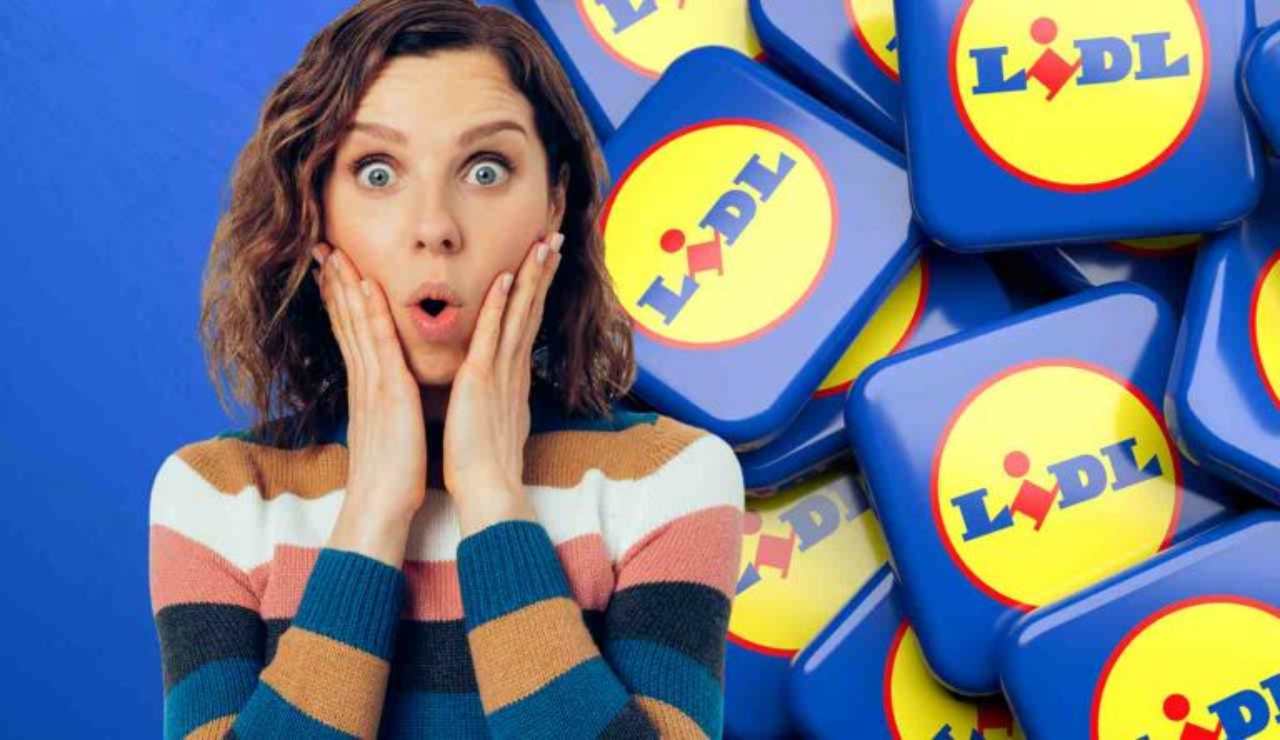 Ma quale IKEA, è LIDL a regalarti un’intera camera da letto | Con 49€ dormi come in una reggia, trasformi casa in 2 minuti