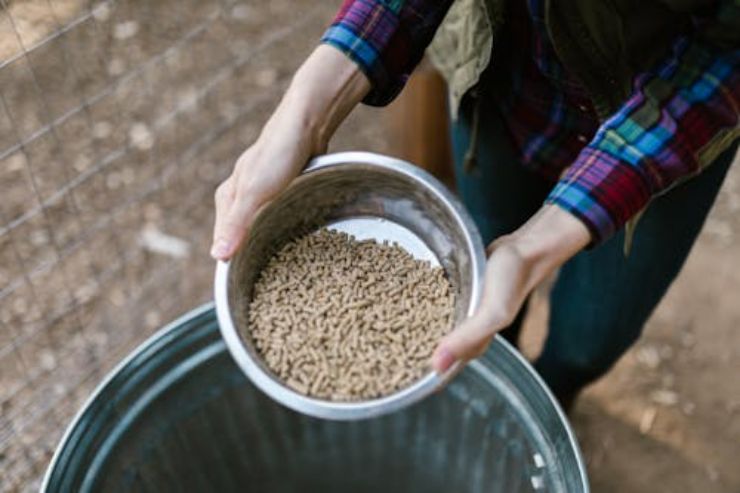 Pellet fatto in casa