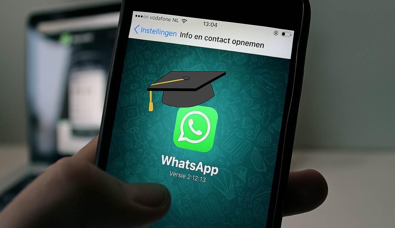 WhatsApp conferisce LAUREE IN LINGUE | Ora puoi parlare con lo zio d’America senza problemi, niente esami e tutto GRATIS