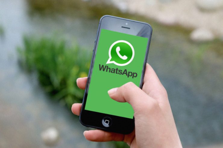 Cestino su WhatsApp
