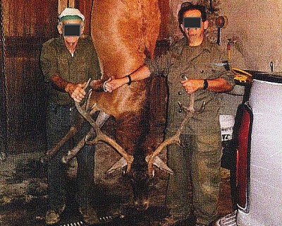 Uccidevano gli animali e si facevano le foto