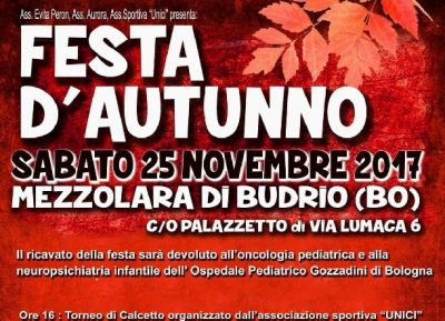 Budrio. Il palazzetto comunale ai fascisti: il Pd attacca il sindaco