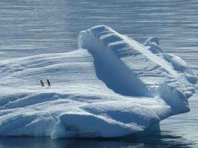 Adattamenti. L’Antartide che si scalda, la plastica italiana in Malesia e il gas (russo) che verrà