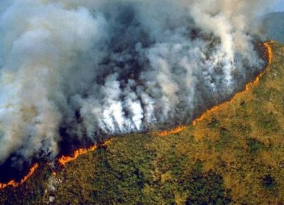 L’Amazzonia brucia