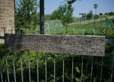 Fascismo nel calcio. “La Regione promuova giornate di formazione per i calciatori”