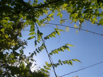 Sole, sole, sole fino al fine settimana