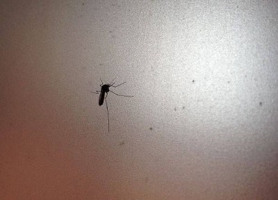 In Abruzzo (e nel resto d’Italia) non vogliono il sangue dei bolognesi. Ecco perchè