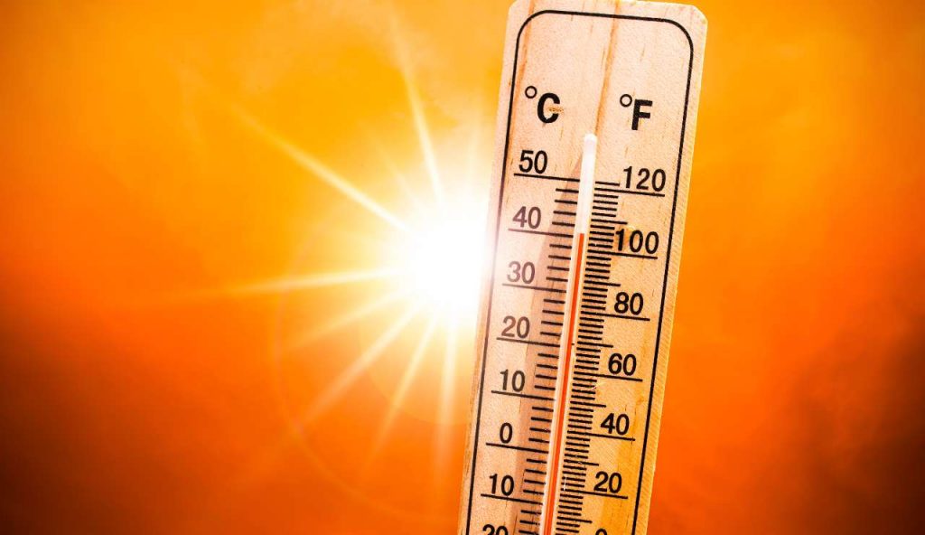 Caldo record