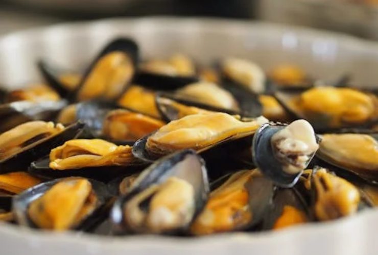 Cozze in un piatto