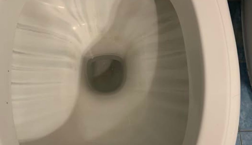 Wc pulito