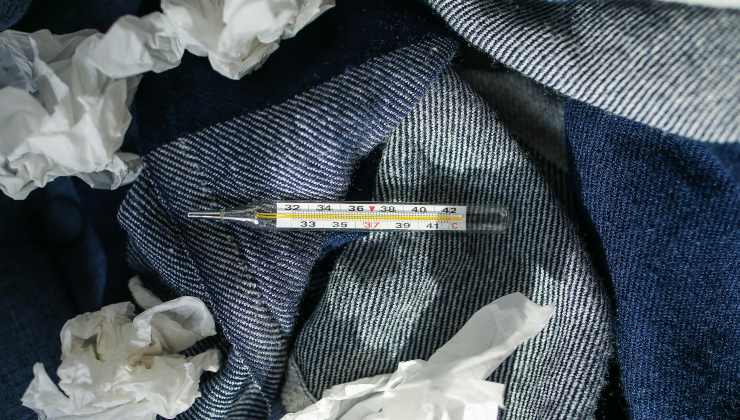 Nuova epidemia in Giappone 