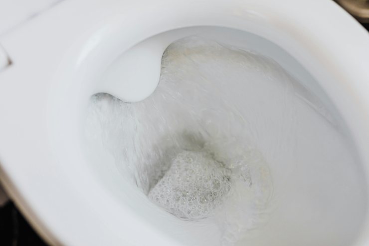 Wc pulito